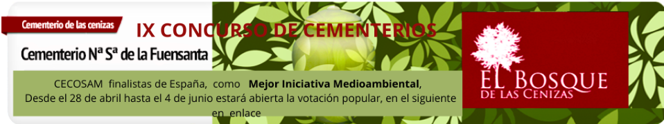 slide_bosque2